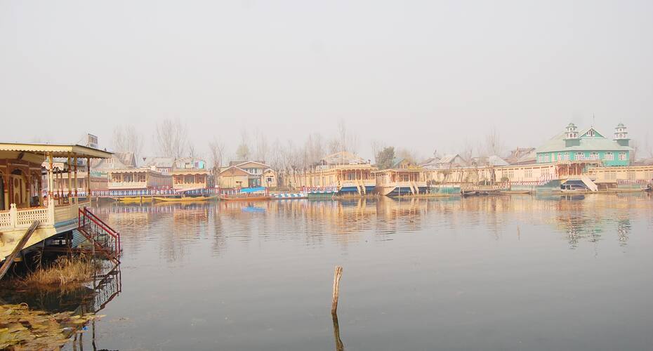 A Flower Garden Houseboat, Srinagar 5